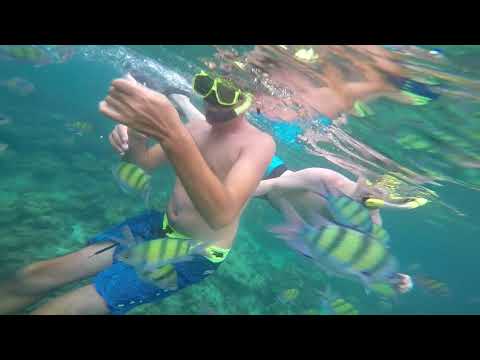 Phi phi island ta snorkeling p3