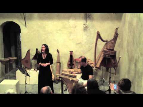 Viola Organista di Leonardo da Vinci - Antica Liuteria Sangineto