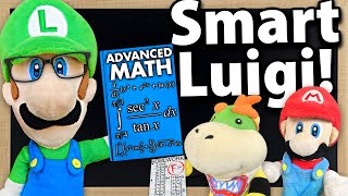 Crazy Mario Bros: Smart Luigi!