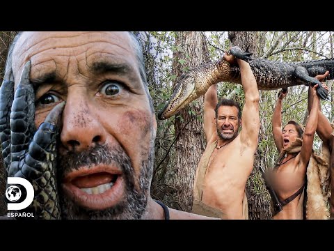 Team Catches Alligator | Naked and Afraid: Extreme Edition | Discovery en Español