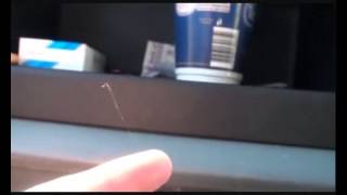 Sky Webs and Sky Particles. WTF!?