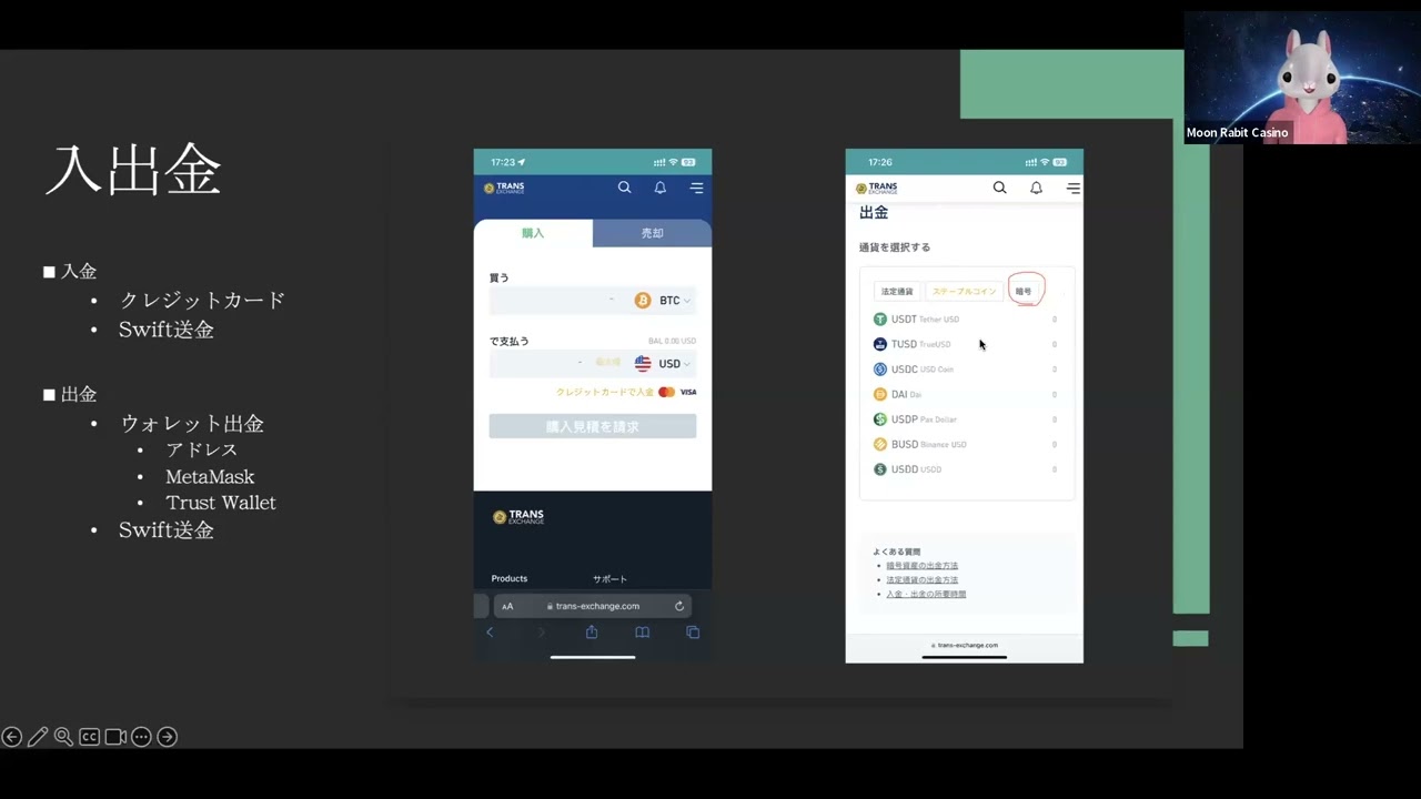 【ムーンラビット】トランスエクスチェンジの設定方法