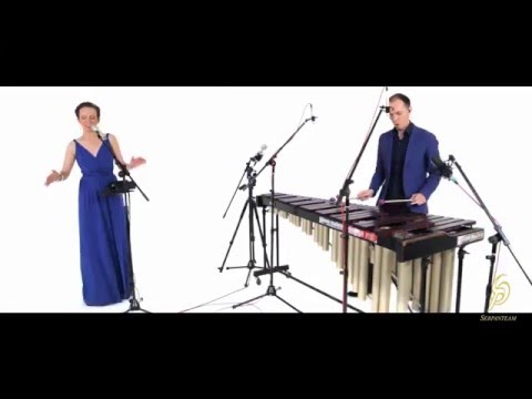 Marimba Plus Duo (7 seconds cover)