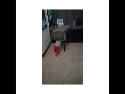 Songo Family-Sahabat Sesurga