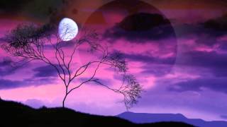 Desert Moonlight - Dmitri Matheny Group