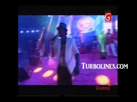 mg danushka with sunflower his tin ekak wage ape me jiwithe song