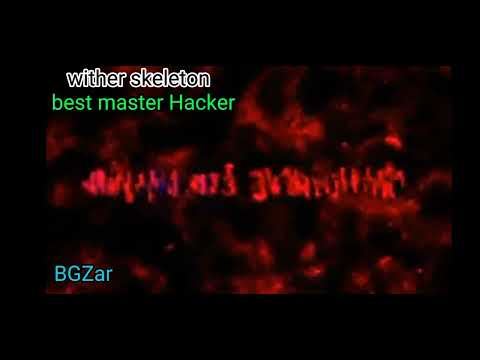 wither skeleton best master Hacker. video BGZar