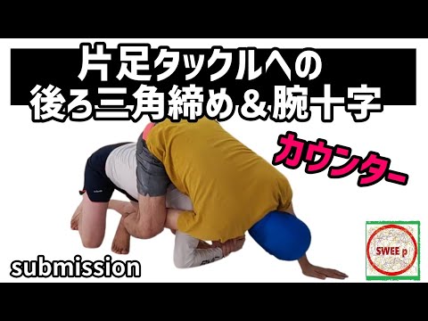 片足タックルへの後ろ三角締め＆腕十字