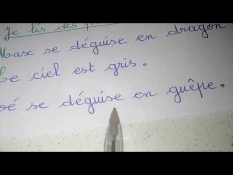 Français CP vidéo8