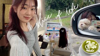 hello NOVEMBER ⭐️ getting my life together! new dining experience, crocheting a top, clothing haul