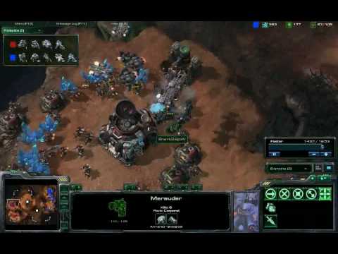 Strelok vs Shark P2 [SG]