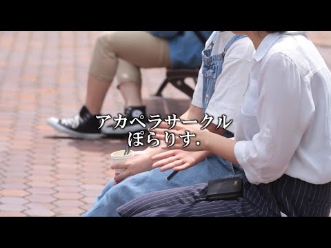 サークルStory アカペラサークル ぽらりす.