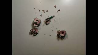 TAČKA! (Full stop!) - Zita Damjanović