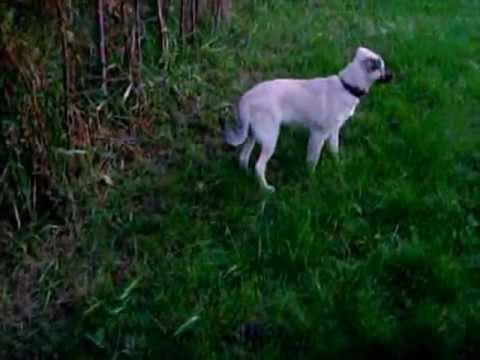 Monica & Miruna in the park evening