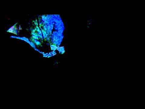 Mineri in mina - Iesire manianci 08ian2011.mp4