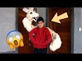 HOW I MAKE A DRAGON