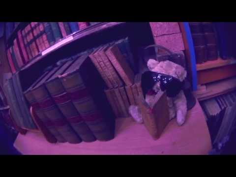 Sean El ft. OneTzu - Pages prod. Konchis (Official Music Video)