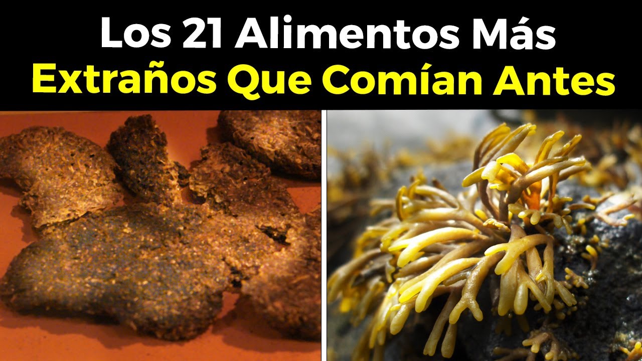 Los 21 Alimentos Más Extraños Que Comían Antes (para sobrevivir)