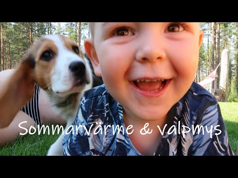 Njuter av värmen! | Livet i Gummark #8