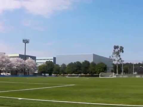 経営学科 作新学院大学サッカー場