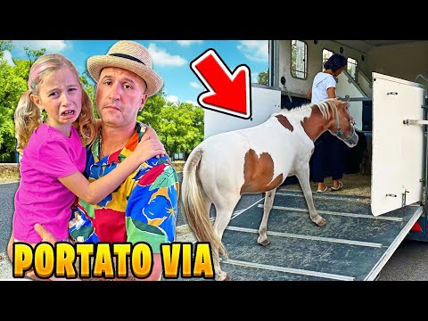 GIORGIA PIANGE PERCHÈ PORTANO VIA DALLA NOSTRA NUOVA CASA PER SEMPRE IL NOSTRO CUCCIOLO DI PONY!