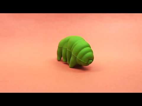 Stress Tardigrade - Archie McPhee