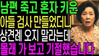 Download lagu 남편 죽고 혼자 키운 아들을 검사 만들었더니 상견례에 오지 말라는데, 몰래 갔다 예비사돈 보고 기절했습니다 | 오디오북 | 창작드라마 mp3