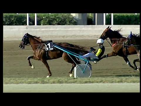 Napoli Trotto 24/09/2021 - 6ª corsa