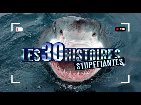 Les 30 Histoires les plus STUPEFIANTES ! Vous n'allez pas le croire.. 😳😳 - PS032017