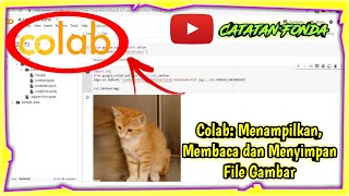 Google Colab: Membaca, Menampil dan Menyimpan File Gambar