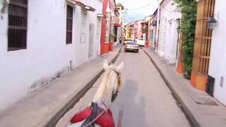 A Carriage Ride through Cartagena, Colombia
