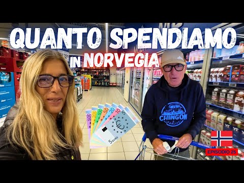 💰Quanto  SPENDIAMO in NORVEGIA ( 4K )/🇳🇴🚐 Nord Europa in CAMPER 2024