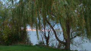 Angelina - The Bacon Brothers