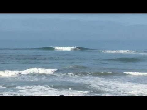 Overview of nice waves at Ventura Overhead