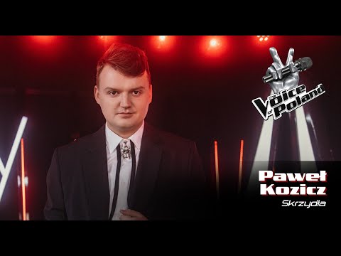 Paweł Kozicz – Skrzydła