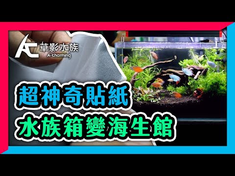 魚缸圖片