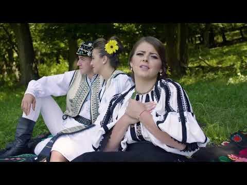 Aliana Vecerzan – Se leagana frunza in vant Video