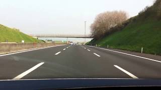 El Beso de la Ciguatera