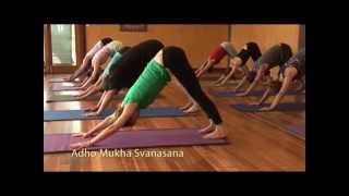 Purna Yoga Level 1 -  Class 2