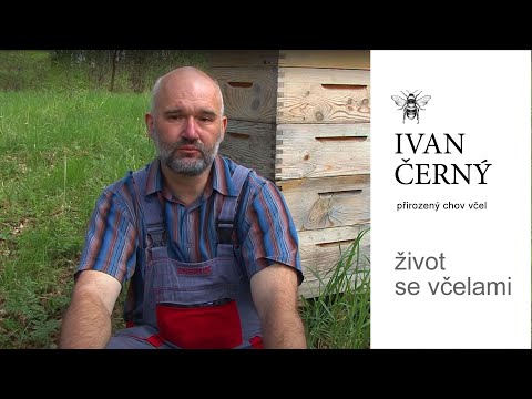 , title : 'Ivan Černý - přirozený chov včel'