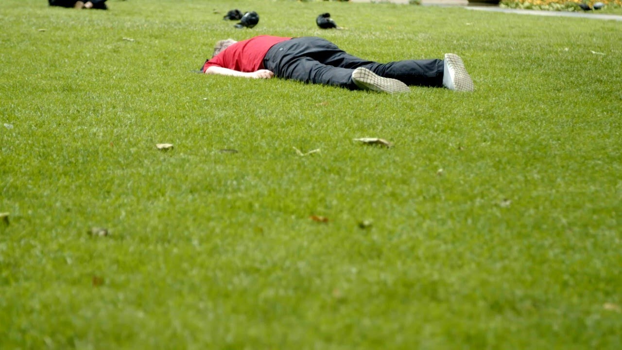 This Tree is Hostile - Trailer (c)NFTS 2022