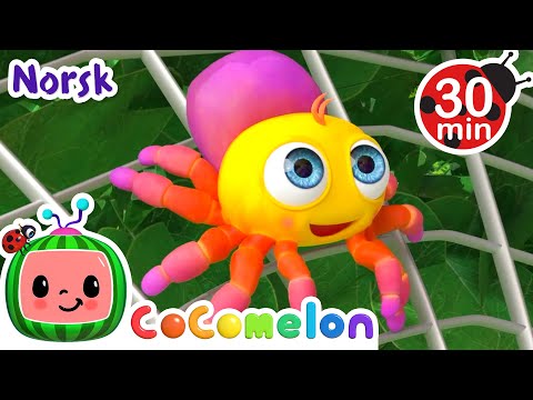 Lille Petter Edderkopp | Vuggesanger for Babyer | CoComelon Norsk