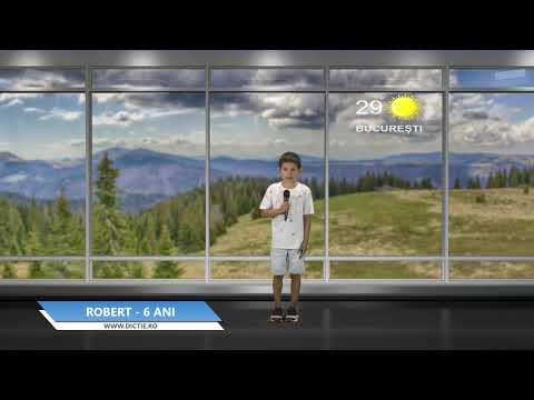 ROBERT ILIE ne prezintă vremea - Proiect Meteo cu Daniel Nițoiu la Școala TV Dicție.ro