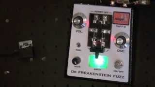 Video thumbnail for Rainger FX Dr Freakenstein Fuzz DrFF-3 (and Igor) Review - BestGuitarEffects.com by Best Guitar Effects