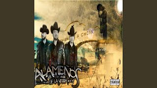 Gente De Zambada 'MZ' (En Vivo) Lyrics English Translation