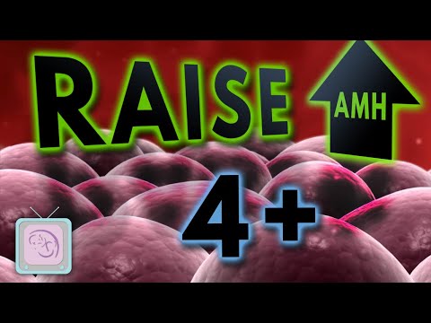 AMH test and your fertility: 9 things you need to know for women with infertility - Dr Morris