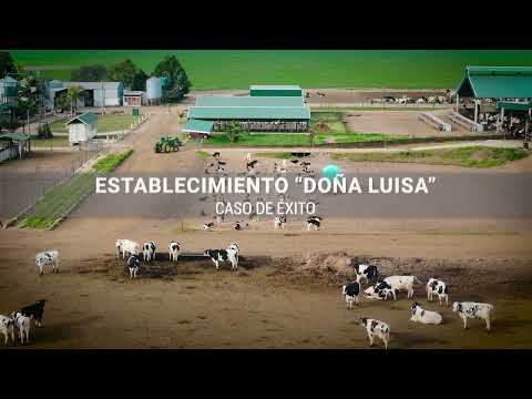 FRIO INSTANTANEO PARA TAMBOS - FRIO21 Y ANSER INGENIERIA
