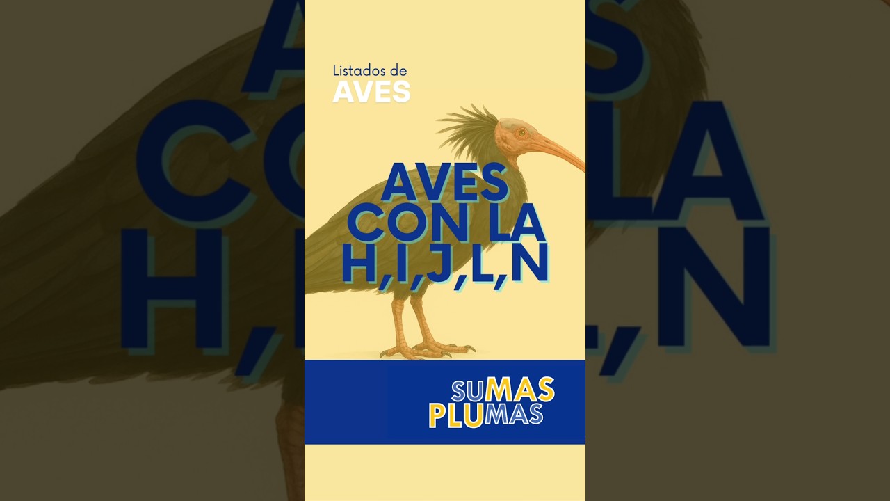 Aves con la H, I, J, L y N