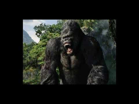 Kong evolución