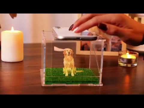 3D Interactive Pet Hologram Keepsake - Voice & Touch Control Memorial Box for Pet Loss Remembrance